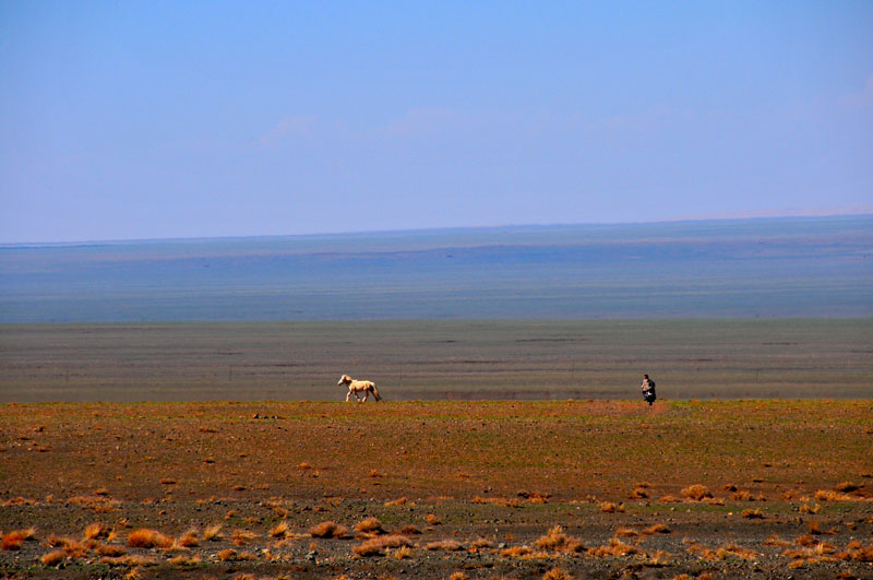 Mongolie